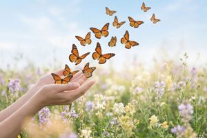 Vita Nova by Vita Felice, Heal & Rise. Complimentary transforming program